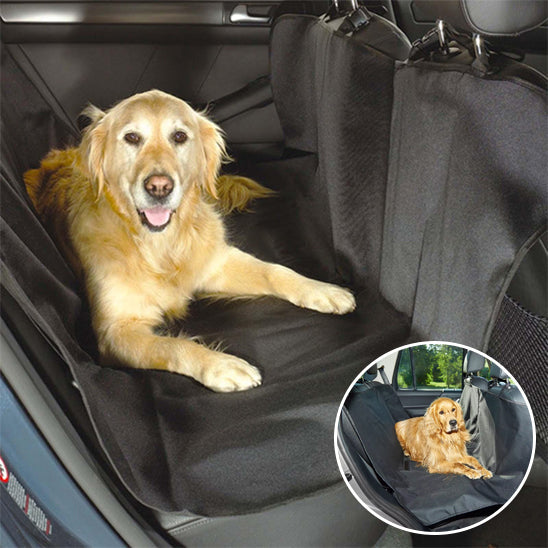 Voyager en voiture avec son chien : les accessoires indispensables pour un trajet serein