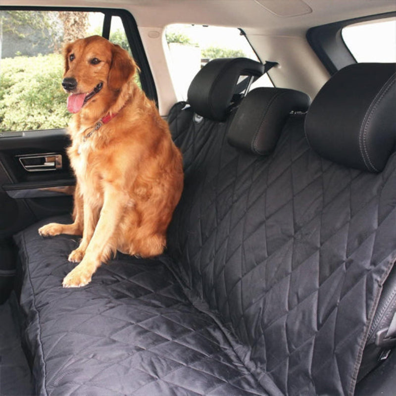 housse voiture chien matelas chien assis