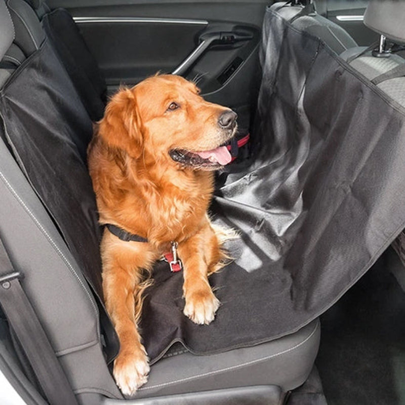 housse voiture chien universelle cocon