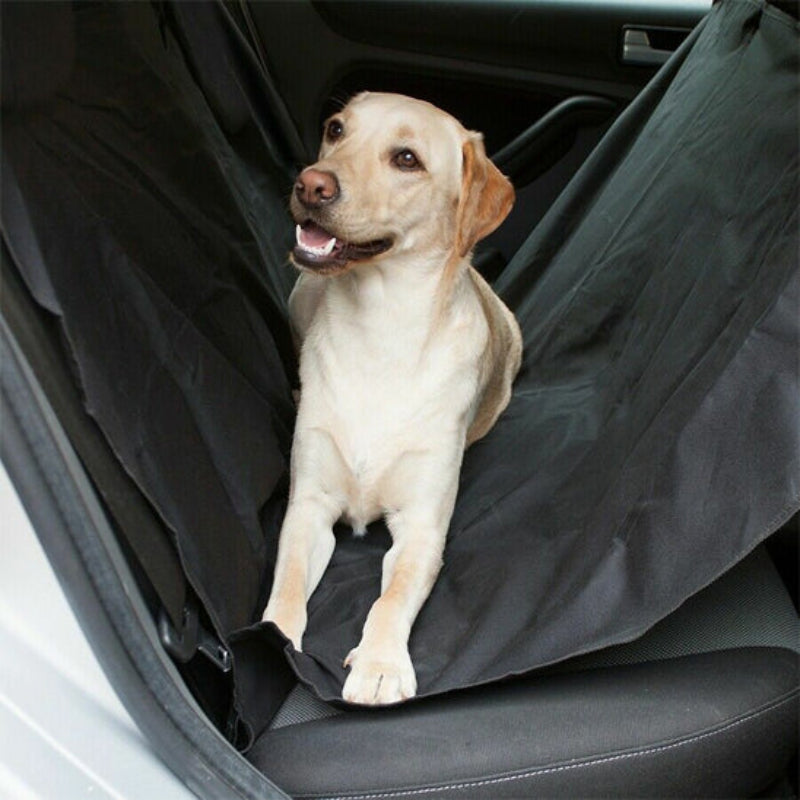 housse voiture chien universelle confort